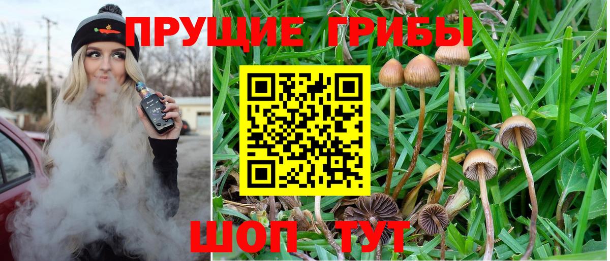 Мыски  Псилоцибиновые грибы GOLDEN TEACHER  Вход с VPN 